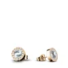 Arctic Symphony | goud gepolijst | 711-275-05