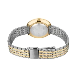 Titanium | goud gepolijst | 19334-010