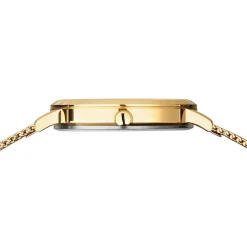 Titanium | goud gepolijst/geborsteld | 18634-334