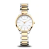 Titanium | zilver/goud gepolijst | 15630-701